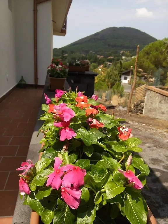 Bed and Breakfast Il Giardino di Leoca Nicolosi 3*,