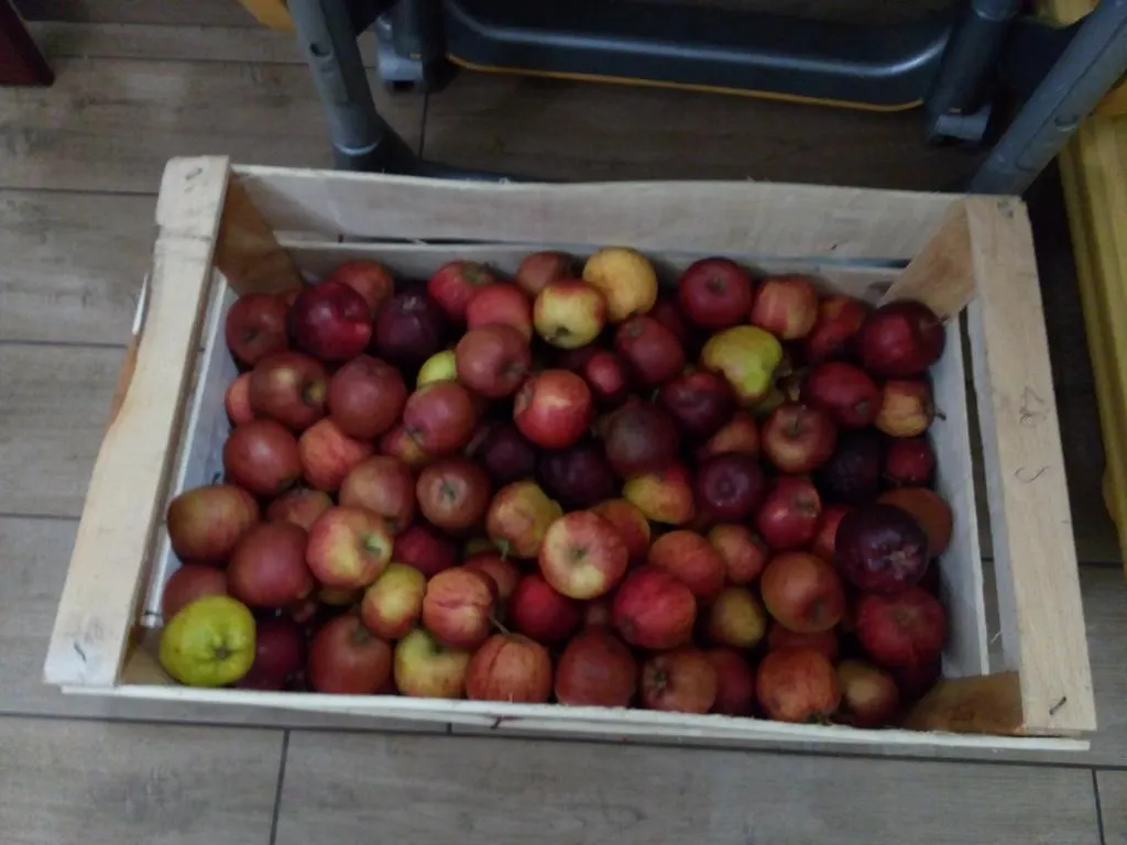 Alojamento de Acomodação e Pequeno-almoço Il Giardino Di Leoca Acomodação com café da manhã Nicolosi